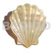 Philippine Brooches Mop Shell Design Brooch