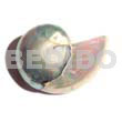 Philippine Brooches Nautilus Shell Brooch