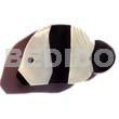 Philippine Brooches Inlaid Fish Black Tab And Troca