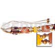 Philippine Belts Dyed Coco W/4-5 Coco Pokalet Tiger And Wood Beads Belt