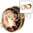 Shell Coin Purse Limpit Shell Coin Purse