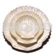 Capiz Gifts Decorative Capiz King Scallop Shell W/out Brass / 3pc Set