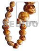 Shell Beads Cacol Shell