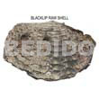 Raw Shell Raw/ Unpolished Blacklip Shells / Asstd Sizes /per Kilo