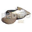 Raw Shell Raw/ Unpolished Brownlip Shells/ Asstd Sizes / Per Kilo