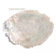 Raw Shell Raw/ Unpolished Capiz Shells / Per Kilo