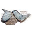 Raw Shell Raw/ Unpolished Hammershells / Per Kilo