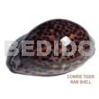 Raw Shell 3 In To 4in Up Raw Cowrie Tiger Shell / Per Piece