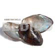Raw Shell Raw/ Unpolished Kabibe Hells / Per Kilo