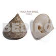 Raw Shell Raw/ Unpolished Troca Shells / Female / Per Kilo