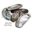 Raw Shell Raw/ Unpolished Abalone Shells / Per Kilo