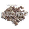 Raw Shell Raw/ Unpolished Nassa Tiger Shells / No Holes / Per Kilo