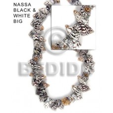 Black and White 16 inches Nassa Black and White Shell Whole Shell Beads BFJ042SPS