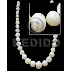 White 16 inches Trocha Shell Graduated Round Shell Round Shell Beads BFJ016SPS