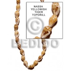 Yellow 16 inches Nassa Tiger Shell Natural Shell Whole Shell Beads BFJ059SPS