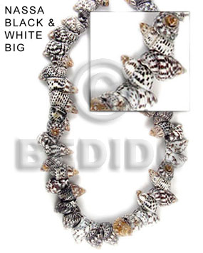 Black and White 16 inches Nassa Black and White Shell Whole Shell Beads BFJ042SPS