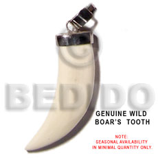 Bone Boars Tooth White Natural Pendants - Bone Horn Pendants BFJ5492P