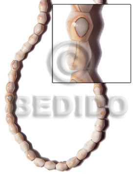 Luhuanus Shell Barrel 6 mm Natural Beads Strands Shell Special Cuts Shell Beads BFJ118SPS