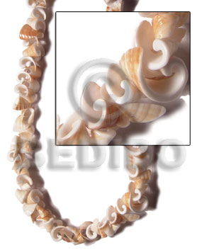 Natural 16 inches Everlasting Conus Natural Shell Crazy Cut Shell Beads BFJ113SPS