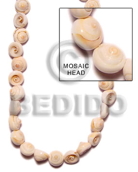 Natural 16 inches Exotica Luhuanus Shell Whole Shell Beads BFJ056SPS