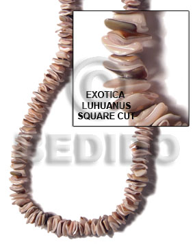 Natural 16 inches Exotica Luhuanus Square Cut Beads Strands Shell Crazy Cut Shell Beads BFJ011SQ