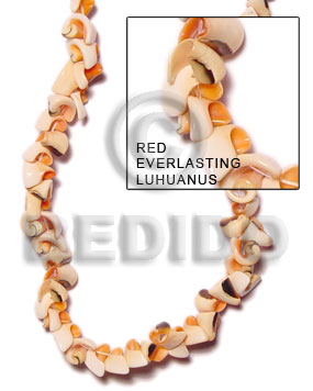 Orange 16 inches Luhuanus Red Everlasting Beads Strands Shell Crazy Cut Shell Beads BFJ057SPS
