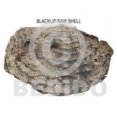 Unprocessed Raw Black Lip Shell RAW SHELLS BFJ001RS