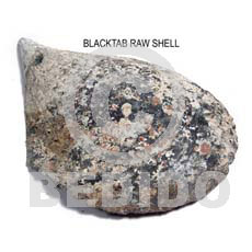 Unprocessed Raw Black Tab Shell RAW SHELLS BFJ007RS