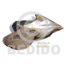 Unprocessed Raw Brown Lip Shell RAW SHELLS BFJ002RS