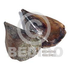 Unprocessed Raw Brown Tab Shell RAW SHELLS BFJ003RS