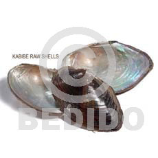 Unprocessed Raw Kabibe Shell RAW SHELLS BFJ009RS