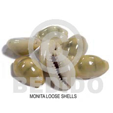 Unprocessed Raw Monita Shell RAW SHELLS BFJ013RS