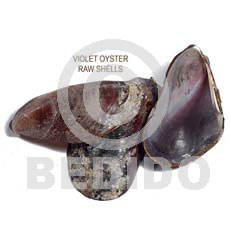 Unprocessed Raw Violet Oyster Shells RAW SHELLS BFJ011RS
