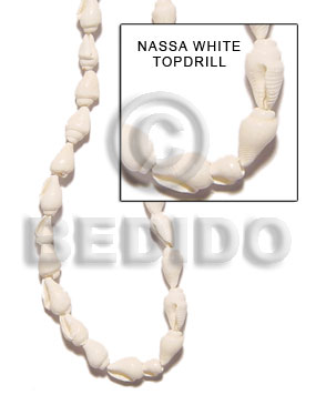 White 32 inches Nassa White Shell Shell Whole Shell Beads BFJ017SPS